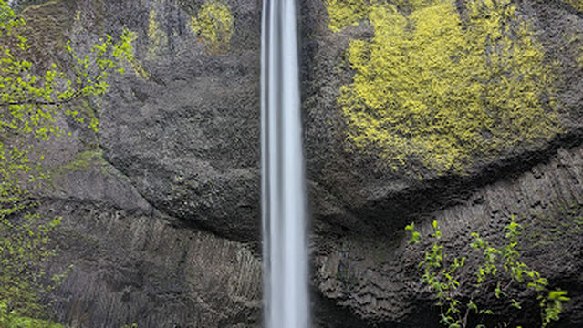 Latourell Falls Trailhead