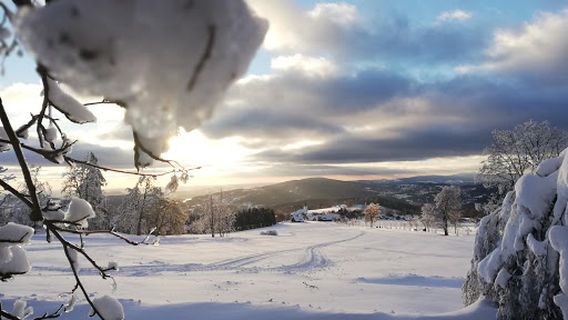 Sjezdovka Pod Štěpánkou