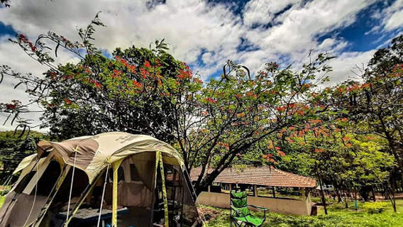 Martello and Spring Waterfalls