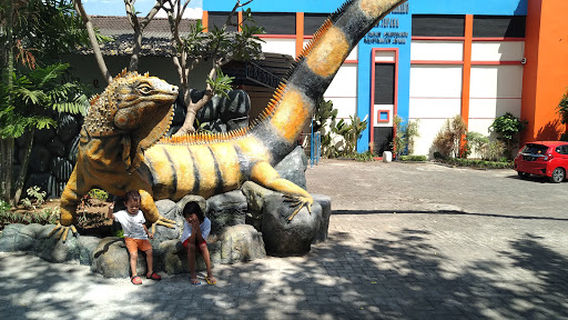 Tiara Park Waterboom