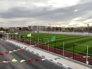 Stade Ouled Fares