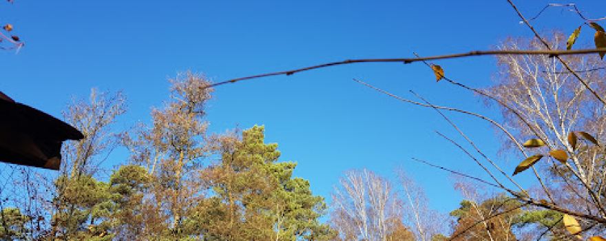 Vogelbeobachtungspunkt