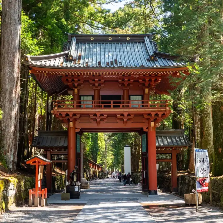 Hotels near Nikkozan Rinnoji Temple