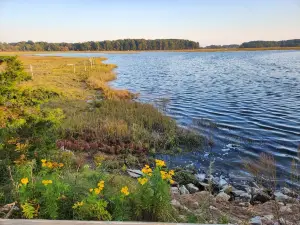 Odiorne Point State Park