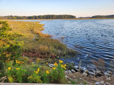 Odiorne Point State Park