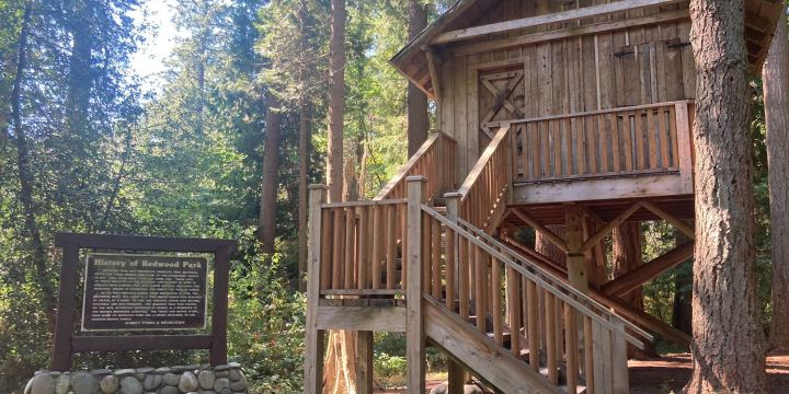Redwood Park