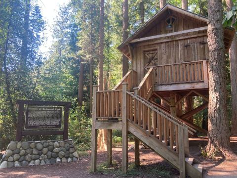 Redwood Park