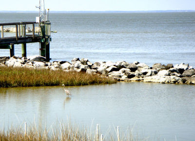 Alabama Aquarium at the Dauphin Island Sea Lab