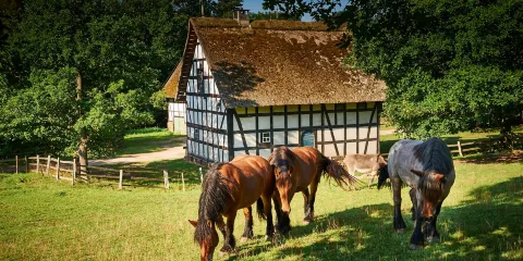 LVR-Freilichtmuseum Kommern