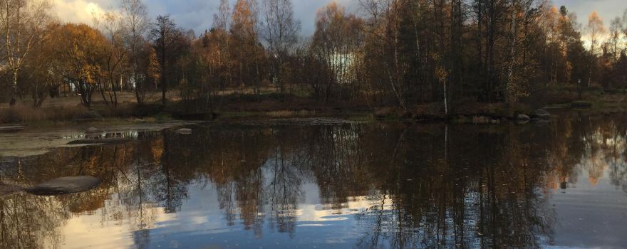 Naturpark Blockheide