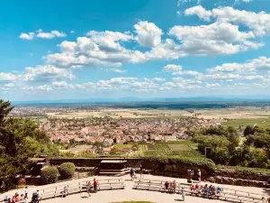 The Eagle Park