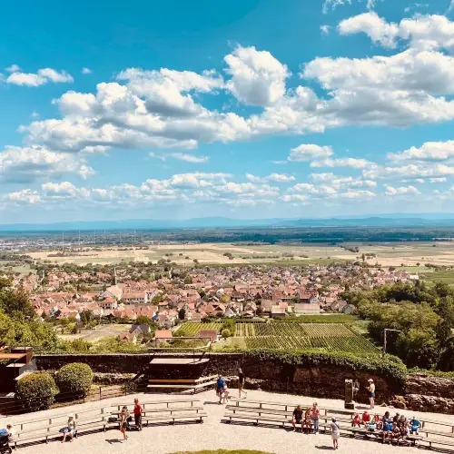 The Eagle Park