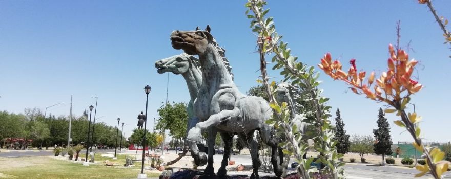 Ciudad Juarez