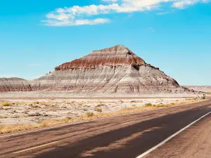 Petrified Forest National Park