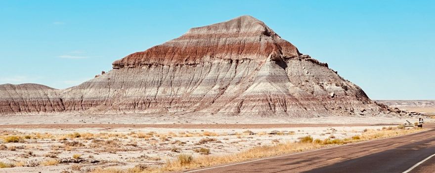 Petrified Forest National Park