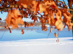 Carriage Hill MetroPark