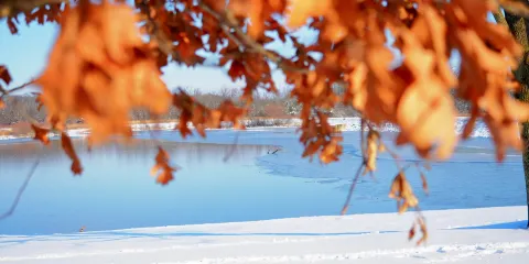 Carriage Hill MetroPark