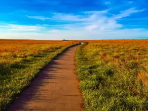 Santa Fe Trail Tracks