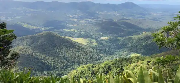 Hotels in Mount Warning