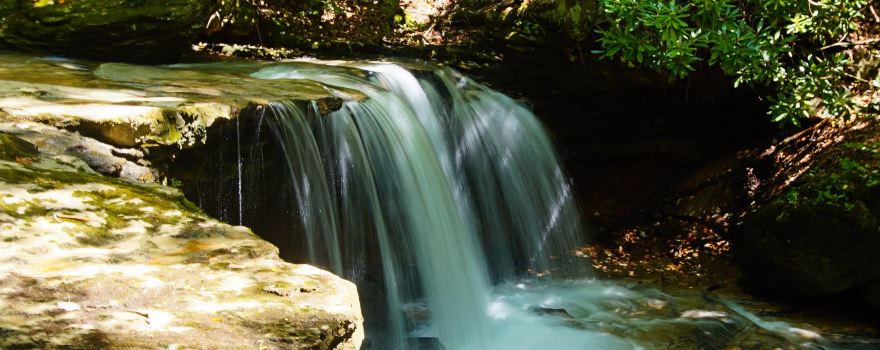 Holly River State Park