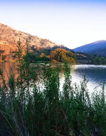 Hotels near Crescent Lawn | UC Berkeley