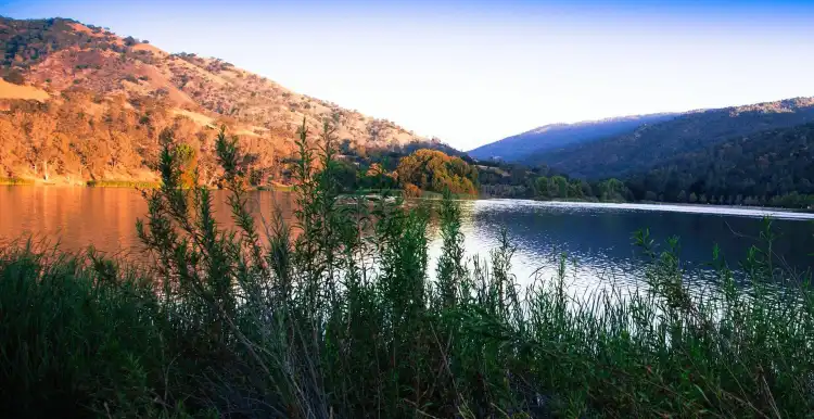 Hotels in Alameda County