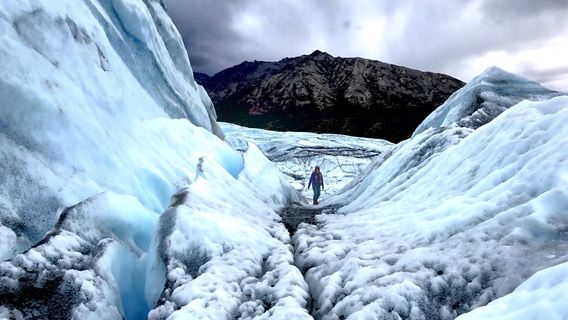 Matanuska Glacier