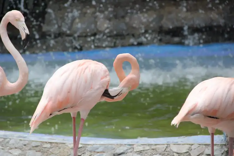 Hotels in der Nähe von Expanzoo