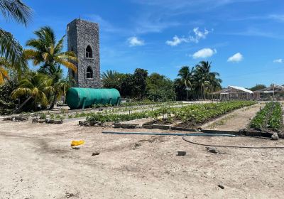 El Torreon Nursery