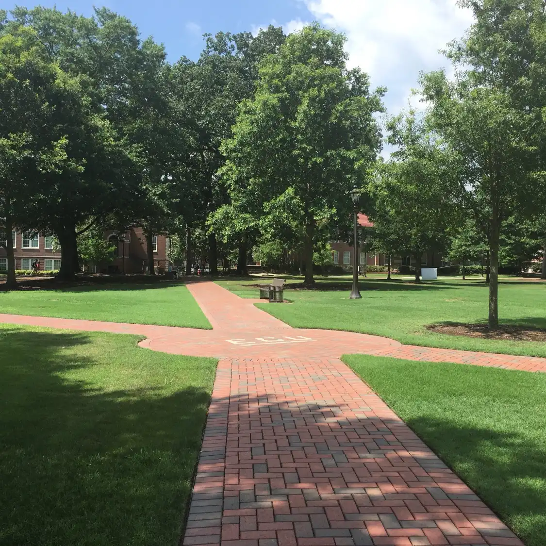 Hotel in zona East Carolina University
