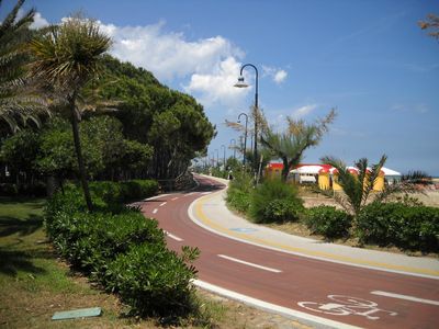 La Pineta