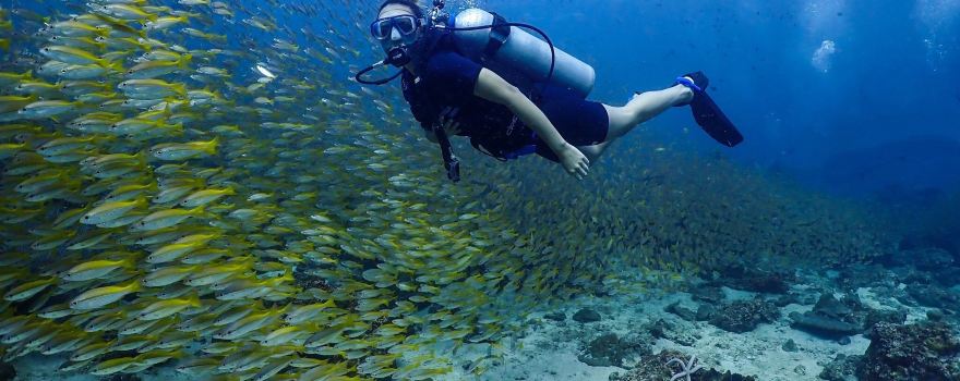 Princess Divers