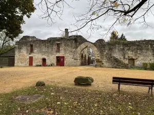 Coucy Castle
