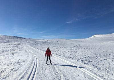 Buskerud
