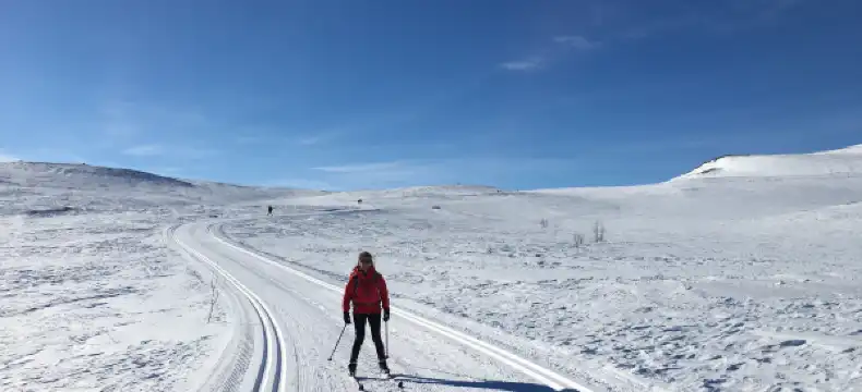 Hotels in Geilo