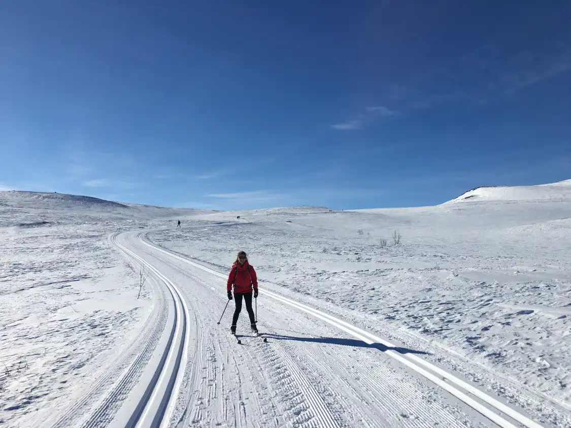 Hotels in der Nähe von Hallingskarvet National Park