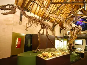Australian Fossil and Mineral Museum