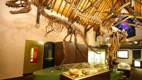 Australian Fossil and Mineral Museum