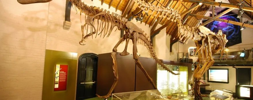 Australian Fossil and Mineral Museum