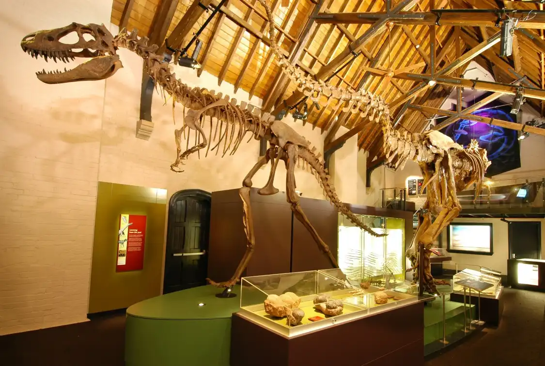 Các khách sạn gần Australian Fossil and Mineral Museum