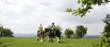 Blackstone Clydesdales & Dig-a-Day Experience