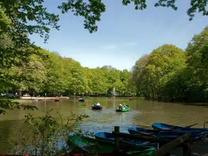 Steinerbos