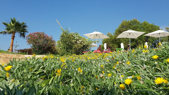 Lazy B Beach Club JIYEH