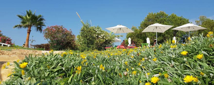 Lazy B Beach Club JIYEH
