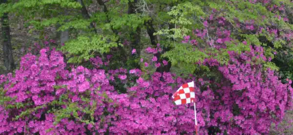 Hotels in McCormick County