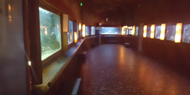 阿卡雄水族館