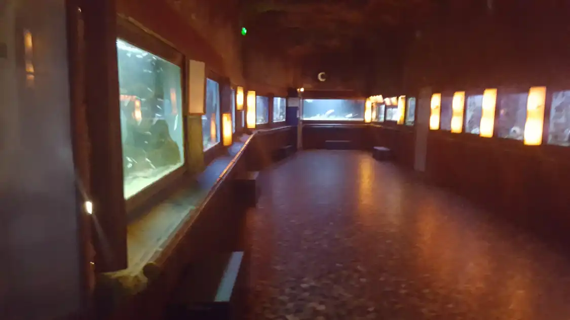 Hotels near Musee Aquarium d'Arcachon