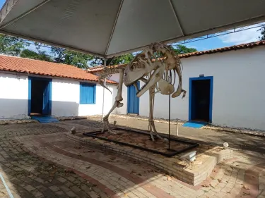 Casa Dom Aquino PreHistory Museum