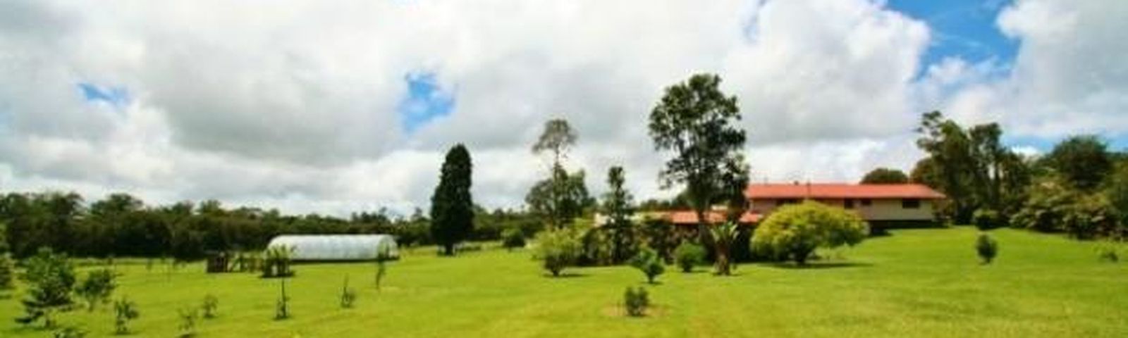 Mountain ViewDay tours