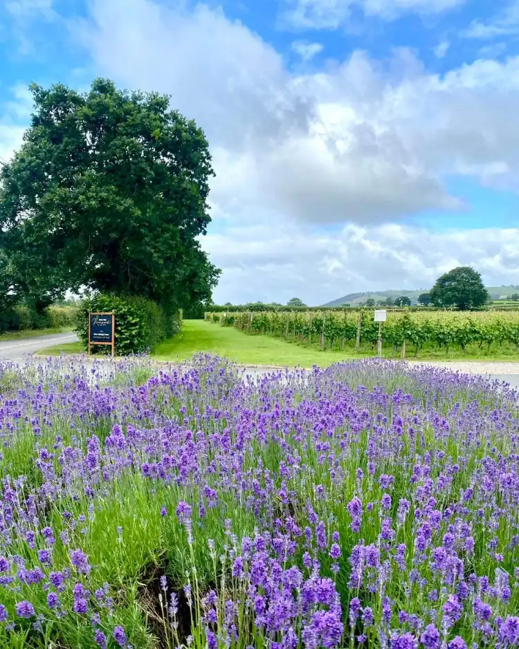 Hoteles en Chirbury with Brompton